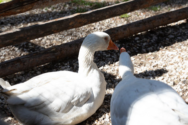 Similar image 21966020