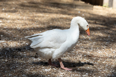 Similar image 21966022