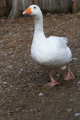 Similar image 21966023