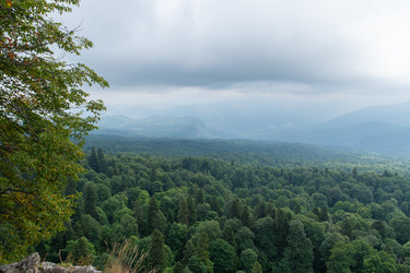 Similar image 21953622