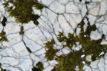 Similar image 21953272