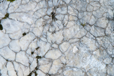 Similar image 21953273