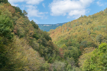 Similar image 21953276