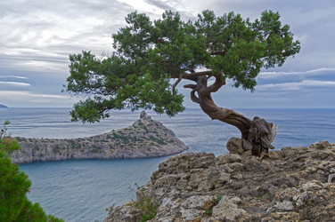 Similar image 21951855