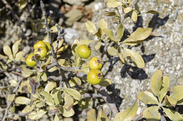 Similar image 21951862