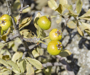 Similar image 21951863