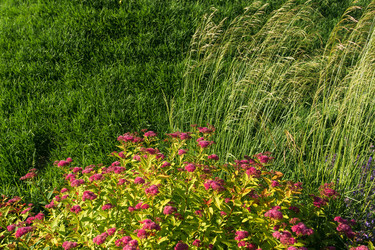 Similar image 21953282