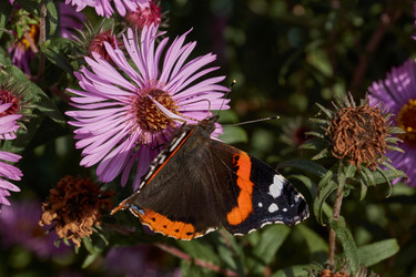 Similar image 21951892