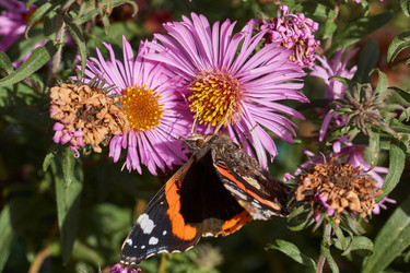 Similar image 21951893