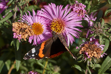 Similar image 21951895