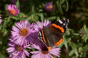 Similar image 21951896