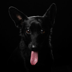 Similar image 21953289