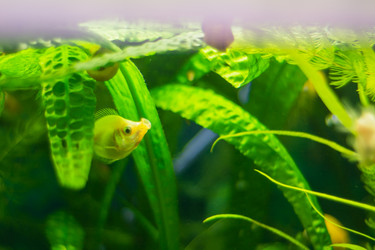 Similar image 21953410