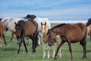 Similar image 21953415