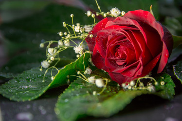 Similar image 21953417