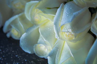 Similar image 21953419