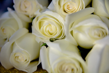 Similar image 21953420