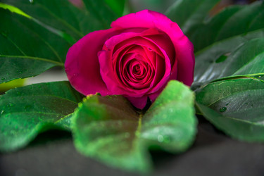 Similar image 21953421