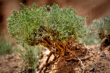 Similar image 21953432