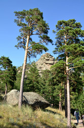 Similar image 21951982