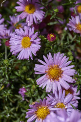 Similar image 21951913