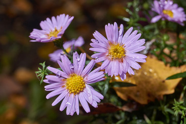 Similar image 21951914