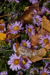 Similar image 21951915