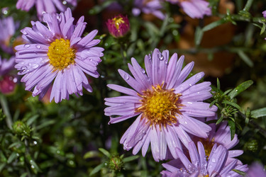 Similar image 21951916