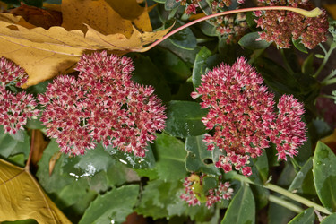 Similar image 21951918