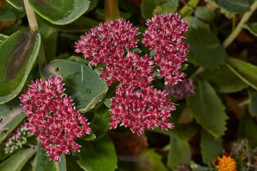 Similar image 21951920