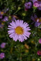 Similar image 21951921