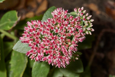 Similar image 21951922