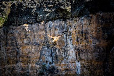 Similar image 21953439