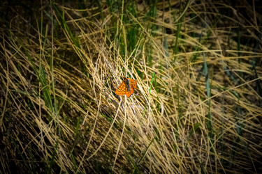 Similar image 21953440