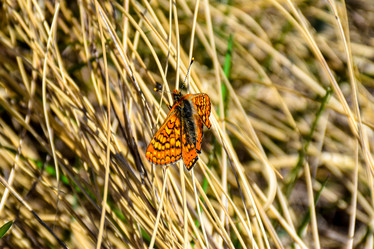 Similar image 21953441