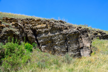 Similar image 21953443