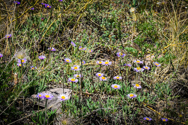 Similar image 21953446