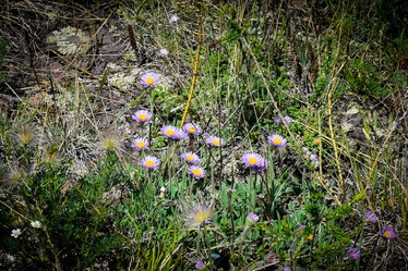 Similar image 21953447