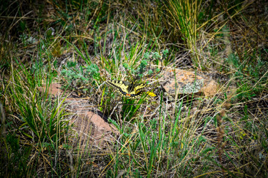 Similar image 21953448