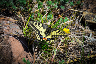 Similar image 21953450