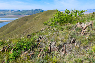 Similar image 21953451