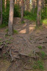 Similar image 21967128