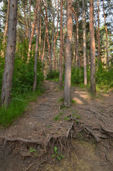 Similar image 21967130