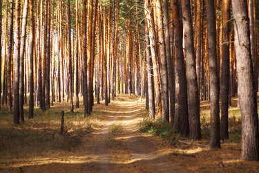 Similar image 21953291