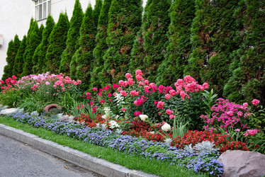 Similar image 21969527