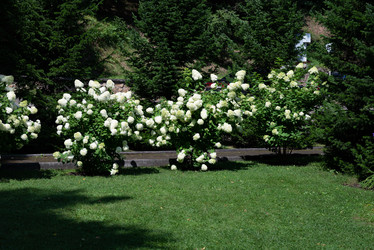 Similar image 21969529