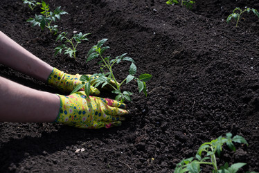 Similar image 21969533