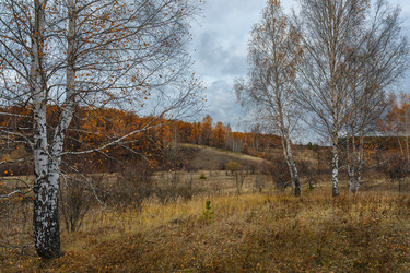 Similar image 21952492