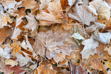 Similar image 21952494