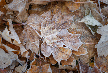 Similar image 21952495